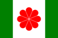 Flag of Taiwan proposed 1996