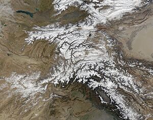 Archivo:Hindu Kush satellite image