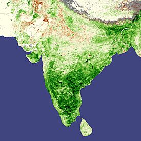 Archivo:India vegetation, natural and cultivated, favorable weather boosts Indian agriculture, April 2008