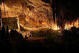 Interior de las Cuevas del Drach.jpg