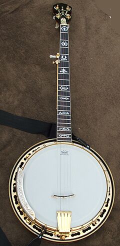 Jon Mills' Banjo - front view.JPG