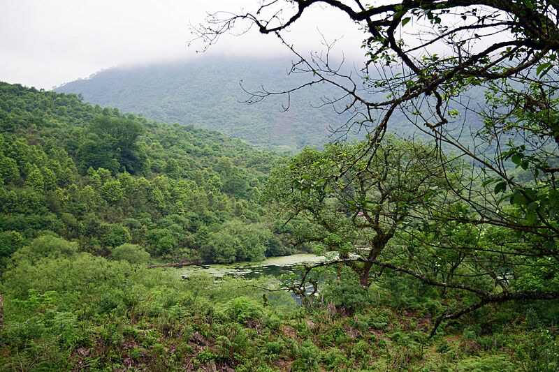Lagunas de Yala, 8
