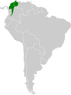 Distribución de Lepidopyga goudoti