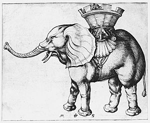 Archivo:Martin Schongauer Elefant