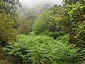 Monte del Agua 1