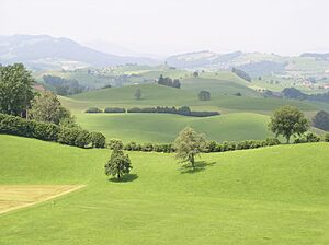 Archivo:Moraenenlandschaft Menzingen