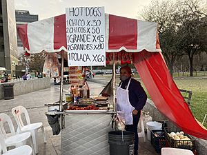 Archivo:Mujer vendiendo hot dogs