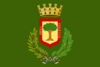 Nocera Inferiore-Bandiera.svg