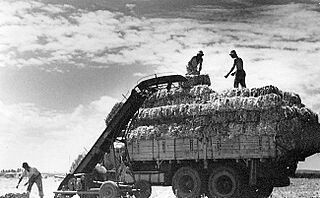 PikiWiki Israel 3584 Gan-Shmuel sb12- 7.jpg