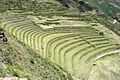Pisacperu