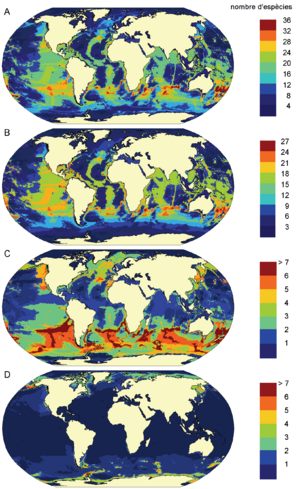 Archivo:Predicted patterns of marine mammal species richness CA