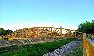 Archivo:Puente peatonal sobre el Caño Bugre