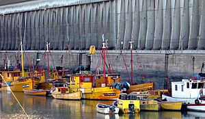 Archivo:Puertoartesanalingenierowhite