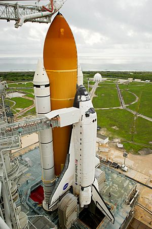 STS-135 profile and docking device.jpg