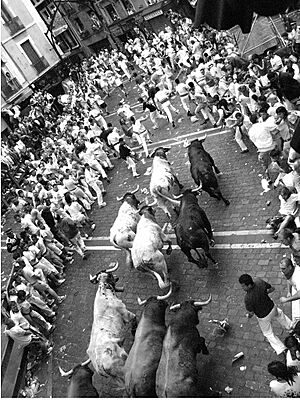 Archivo:Sanfermines Vaquillas Pamplona 05