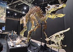 Archivo:Saurolophus mount