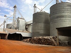 Archivo:Silos de Granos Dr. Juan Eulogio Estigarribía