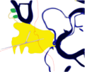 Simple map of Pucallpa