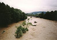 Archivo:Skawa River, Poland, flood 2001