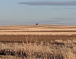 Slater WY.jpg