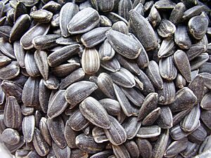 Archivo:Sunflowers seeds