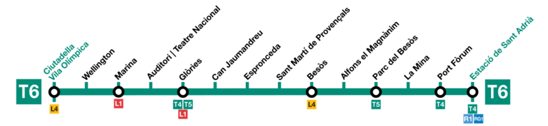Termómetro T6