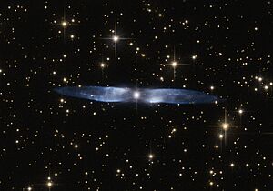 Archivo:The icy blue wings of Hen 2-437