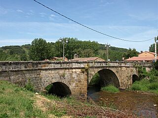 Viejo Camino Santiago 21 - Puente Almuhey.jpg