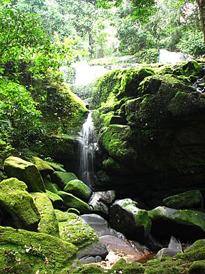 Archivo:Waterfall ivindo gabon