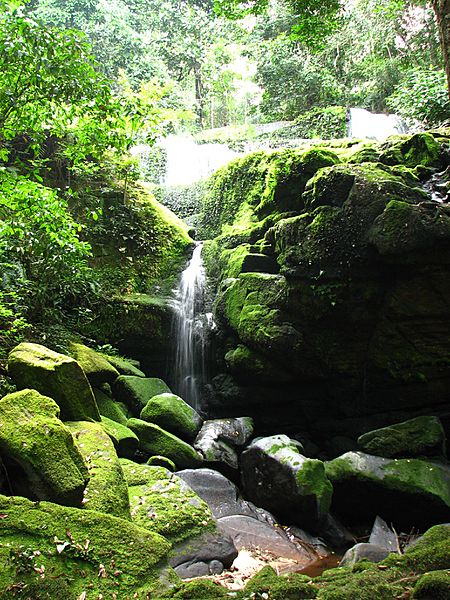 Waterfall ivindo gabon