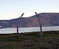 Whale Ribs, Yttygran Island.jpg