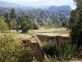 Archivo:Yauli District 2008