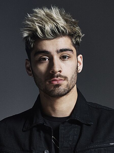 Zayn Wiki (cropped)