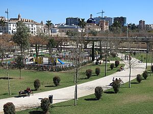 Archivo:154 Jardí del Túria (València), des del pont dels Serrans, al fons el Museu de Belles Arts