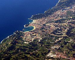 750px-San Sebastian aerial Añorga.jpg