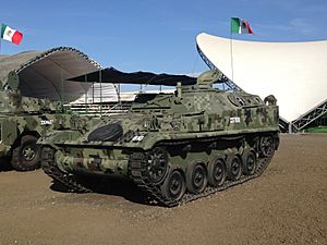 Archivo:AMX-VCI del Ejército Mexicano