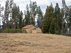 Archivo:AbandonadaOicata