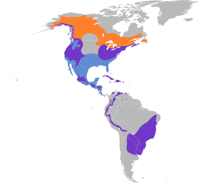 Accipiter striatus map