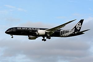 Archivo:Air New Zealand, Boeing 787-9 ZK-NZE 'All Blacks' NRT (27091961041)