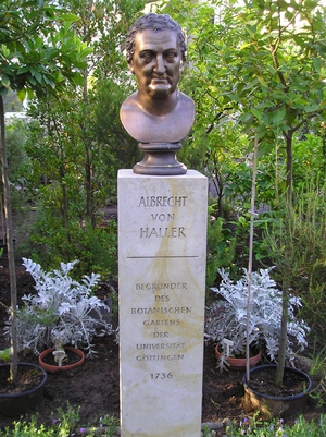 Archivo:Albrecht von Haller-Büste