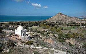 Archivo:Alcudia de Berberia