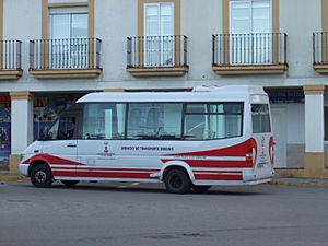 Archivo:Autobús urbano de San Roque