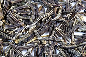 Archivo:Black Cumin