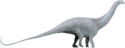 Archivo:Brontosaurus by Tom Parker