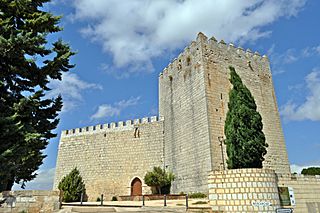 CASTILLO DE MONZÓN DE CAMPOS - panoramio.jpg