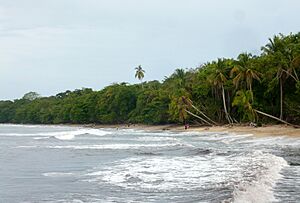 Cahuita national park, Costa Rica.jpg
