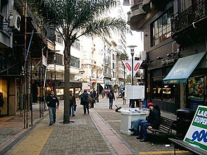 Calle peatonal en Montevideo.jpg