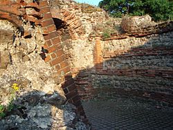 Camulodunum Roman Wall, Colchester.jpg