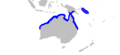 Carcharhinus cautus distmap