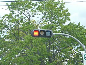 Archivo:Colourblind traffic signal